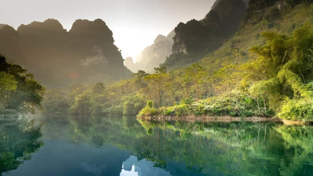 智能化高效绿色